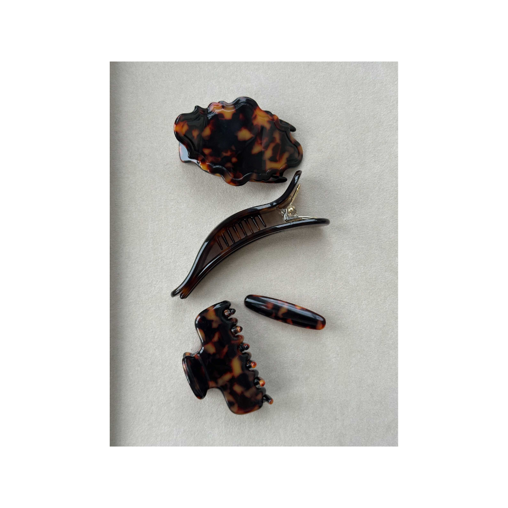 Flat Claw June Turtle